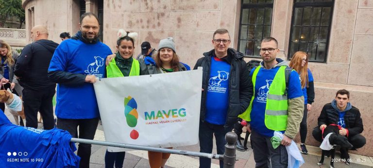 Állatok világnapja, hétvégi rendezvények Budapesten
