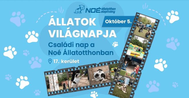 Családi nap a Noé Állatotthonban, október 5., 10:00 és 16:00 között