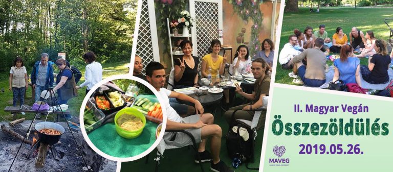 2019. május 26