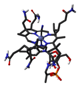 B12-vitamin