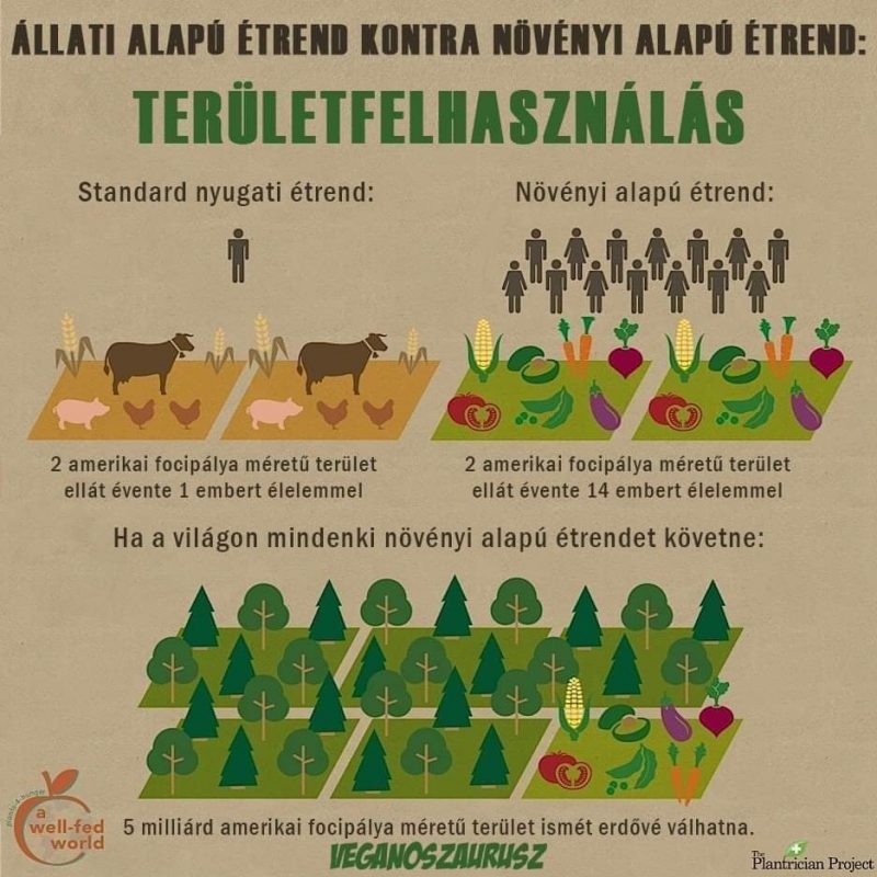 A népesség folyamatos növekedése és az ezzel járó fokozatosan…
